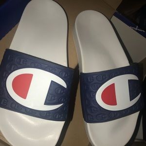 Champion Pool Slides